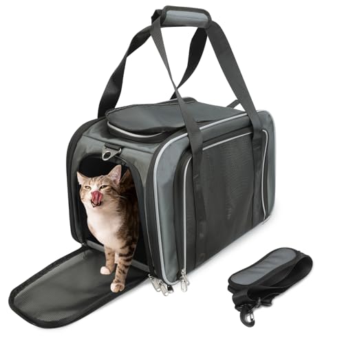 PETWIT katzentransportbox hundetransportbox faltbar große Haustiertasche für Katze und Kleine Hunde im Auto, Fugzeug oder in der Bahn PETWIT katzentransportbox hundetransportbox faltbar große Haustiertasche für Katze und Kleine Hunde im Auto, Fugzeug oder in der Bahn von PETWIT