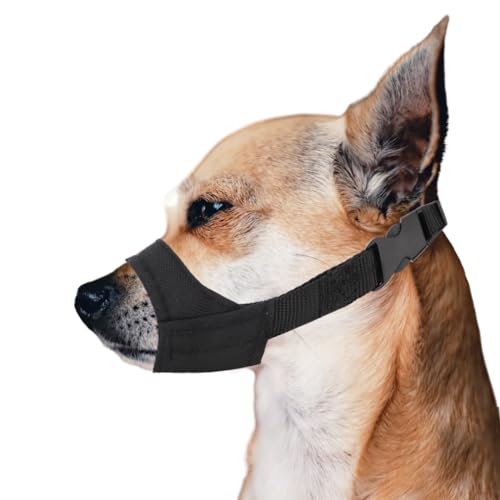 PEUTIER Maulkorb für Kleine und Mittelgroße Hunde mit Kurzer Schnauze, Maulkorb Gegen Beißen Dog Muzzle für Chihuahua Shih Tzu, Schnauzenumfang 8,9-10,8cm PEUTIER Maulkorb für Kleine und Mittelgroße Hunde mit Kurzer Schnauze, Maulkorb Gegen Beißen Dog Muzzle für Chihuahua Shih Tzu, Schnauzenumfang 8,9-10,8cm von PEUTIER