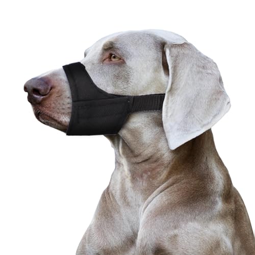Maulkorb für Hunde mit Kurzer Schnauze, Maulkorb für Kleine und Mittelgroße Hunde Weich Maulkorb Gegen Beißen und Bellen Dog Muzzle für Chihuahua Hiromi Shih Tzu, Schnauzenumfang 21-24,1cm Maulkorb für Hunde mit Kurzer Schnauze, Maulkorb für Kleine und Mittelgroße Hunde Weich Maulkorb Gegen Beißen und Bellen Dog Muzzle für Chihuahua Hiromi Shih Tzu, Schnauzenumfang 21-24,1cm von PEUTIER
