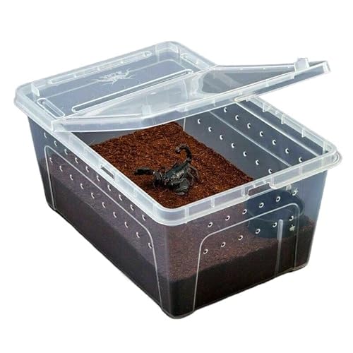 Schildkrötenpanzer Reptilienlebensbox Terrarium Transparente Reptilien Insektenbehälter Transport Amphibien züchten Lebensmittelernährung für drinnen und draußen ( Color : Large ) von PEVSCO