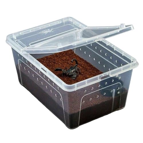 Schildkrötenpanzer Reptilienlebensbox Terrarium Transparente Reptilien Insektenbehälter Transport Amphibien züchten Lebensmittelernährung für drinnen und draußen ( Color : Medium ) von PEVSCO