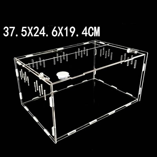 Schildkrötenpanzer Transparente Acrylreptilienbox for Spinnen Schildkröte Echsenzüchtungsinsektenbox Lüftungsschlitze Schälen Kleiner Haustier -Terrarium für drinnen und draußen ( Color : Large ) von PEVSCO