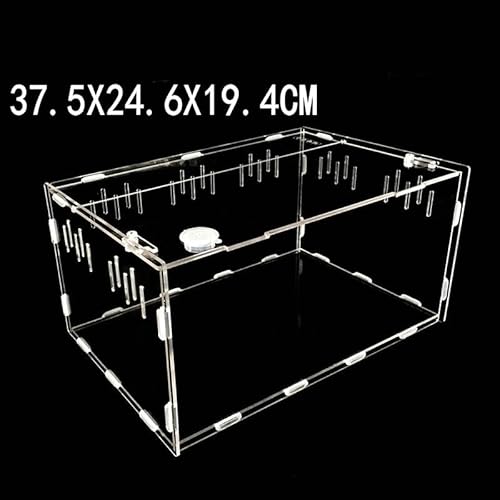 Schildkrötenpanzer Transparente Acrylreptilienbox for Spinnen Schildkröte Echsenzüchtungsinsektenbox Lüftungsschlitze Schälen Kleiner Haustier -Terrarium für drinnen und draußen ( Color : Large ) Schildkrötenpanzer Transparente Acrylreptilienbox for Spinnen Schildkröte Echsenzüchtungsinsektenbox Lüftungsschlitze Schälen Kleiner Haustier -Terrarium für drinnen und draußen ( Color : Large ) von PEVSCO