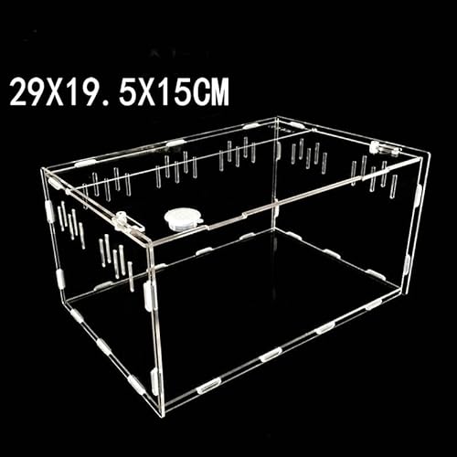 Schildkrötenpanzer Transparente Acrylreptilienbox for Spinnen Schildkröte Echsenzüchtungsinsektenbox Lüftungsschlitze Schälen Kleiner Haustier -Terrarium für drinnen und draußen ( Color : Small ) von PEVSCO