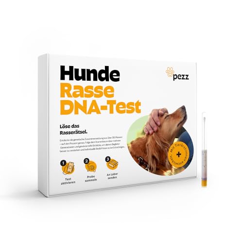 PEZZ DNA Test für Hunde zur Rassebestimmung | Mehr als 350 Rassen inkl. Stammbaum über Generationen | Laborauswertung inkl. Gewichtsvorhersage und FCI-Einteilung | gratis Labor-Versand (DNA) von PEZZ