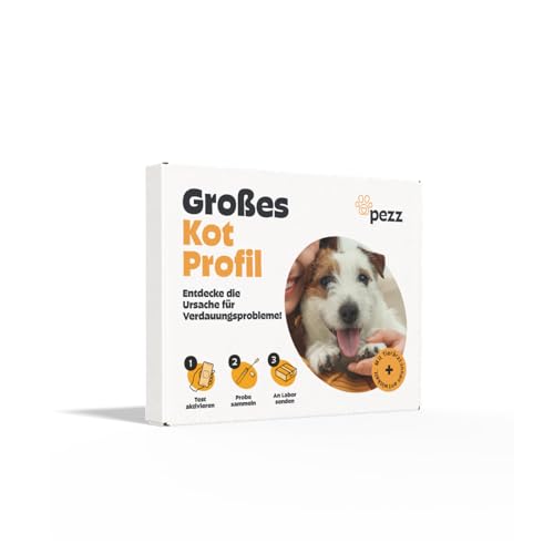PEZZ Großes Kotprofil 7-in-1 Test für Hunde | Nur eine Probe | Alle häufigsten Parasiten und Würmer & Durchfallerreger, Verdauungsfunktion, Pankrease, pH-Wert etc. | gratis Labor-Versand PEZZ Großes Kotprofil 7-in-1 Test für Hunde | Nur eine Probe | Alle häufigsten Parasiten und Würmer & Durchfallerreger, Verdauungsfunktion, Pankrease, pH-Wert etc. | gratis Labor-Versand von PEZZ