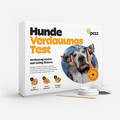 PEZZ Verdauungstest für Hunde: Überprüfung der Verdauungsqualität und Nährstoffaufnahme | Individuelle Ernährungsbedürfnisse als Labor-Befund | Kostenloser Labor-Versand von PEZZ