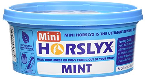 Mini Horslyx Leckmasse, Pferde Nahrungsergänzung, Mint 650g von PFIFF