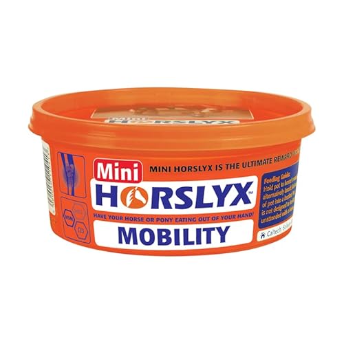 Mini Horslyx Leckmasse, Pferde Nahrungsergänzung, Mobility 650g von PFIFF