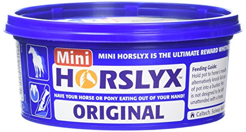 Mini Horslyx Leckmasse, Pferde Nahrungsergänzung, Original 650g von PFIFF