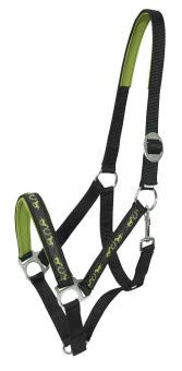 PFIFF 101925 Kunststoffhalfter Mondena, Pferdehalfter Halfter, Schwarz-Grün, Pony PFIFF 101925 Kunststoffhalfter Mondena, Pferdehalfter Halfter, Schwarz-Grün, Pony von PFIFF