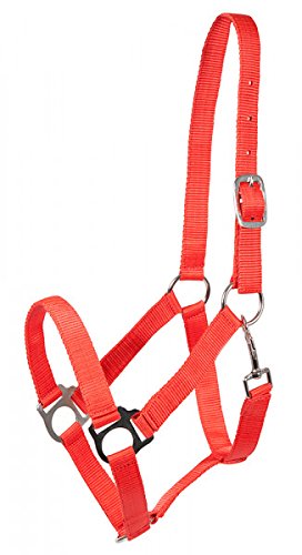 PFIFF 102266-10-Pony Halfter -Udine- Pferdehalfter Nylonhalfter, S, rot von PFIFF
