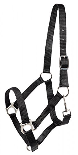 PFIFF 102266-60-Cob Halfter -Udine- Pferdehalfter Nylonhalfter Vollblut, M, schwarz von PFIFF