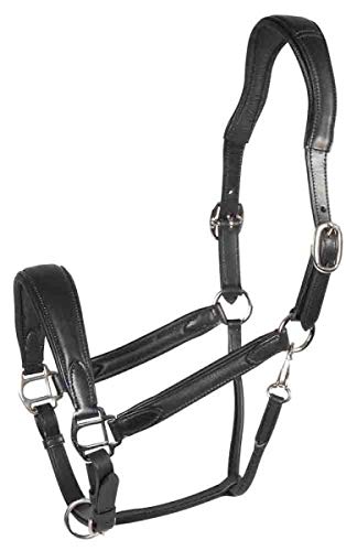 PFIFF 102700 Lederhalfter 'Soft Shape', schwarz Full PFIFF 102700 Lederhalfter 'Soft Shape', schwarz Full von PFIFF