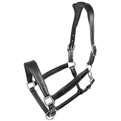 PFIFF 102924 Halfter Sobria, Lederhalfter mit Prägung, Weiche Polsterung, Schwarz Pony von PFIFF