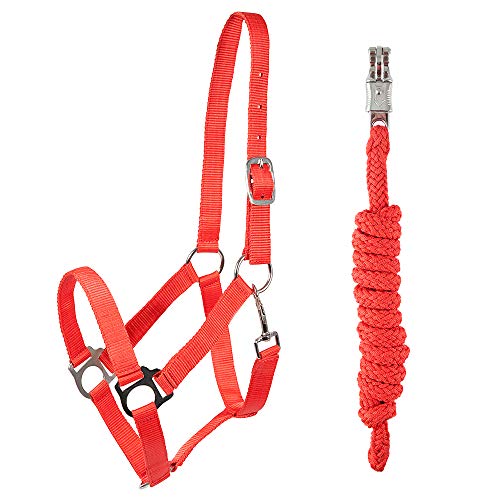 PFIFF 102931 Halfter und Strick Set, Kunststoffhalfter Führstrick, Rot Full von PFIFF