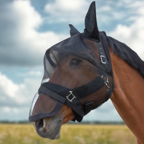 PFIFF 103125 Fliegenmaske „Big Eye“ mit UV-Schutz, Abnehmbarer Nasenschutz, Insektenschutz, atmungsaktiv, Schwarz, Pony von PFIFF