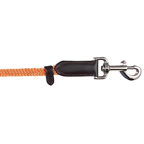 Pfiff 102936 Bodenarbeitsseil mit Lederklatsche, Sehr leichtes Nylon, Strick für Bodenarbeit, Orange, 600cm von PFIFF