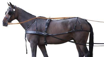 Zweispännergeschirr Standard, schwarz Pony von PFIFF