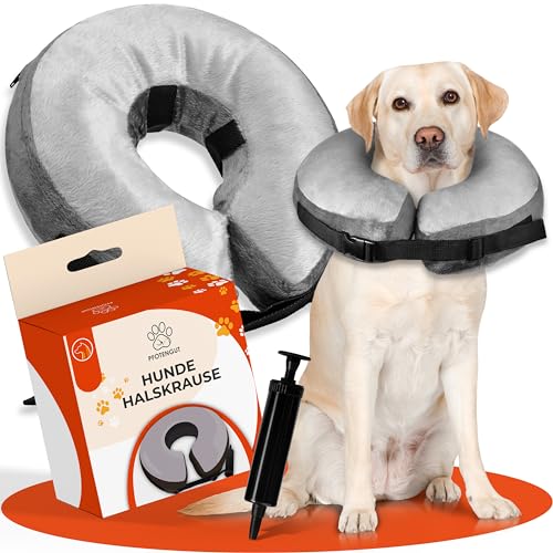 PFOTENGUT® Aufblasbare Hunde Halskrause inkl. Luftpumpe - Verbesserte Halskrausen für Hunde & Katzen [2023] - Premium Hundekragen - Schutzkragen Hund - Leckschutz Hund von PFOTENGUT
