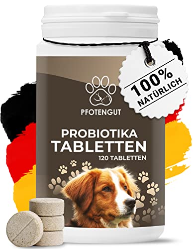 PFOTENGUT® Probiotika [Made IN Germany] - 120 Tabletten zur Stärkung der Darmflora - Effektive Darmsanierung für den Hund zur Stärkung des Immunsystems- Darmkur Hund von PFOTENGUT