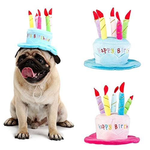 Niedlicher niedlicher Hunde- und Katzenhut für Geburtstagskuchen, Kopfbedeckung, Hut mit 5 farbigen Kerzen, Partyzubehör, Einheitsgröße, Blau von PFRANK