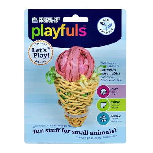 Prevue Pet Products Kauspielzeug für kleine Tiere, knuspriger Kegel von PH Prevue Hendryx
