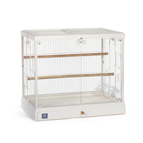 Prevue Pet Products Klarsichtglas Vogelkäfig Crystal Palace Luxe für kleine Vögel - Weißer Rahmen von PH Prevue Hendryx