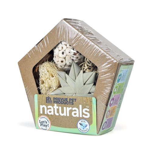 Prevue Pet Products Kleine Fünfeck-Spielbox für Kleintiere von PH Prevue Hendryx