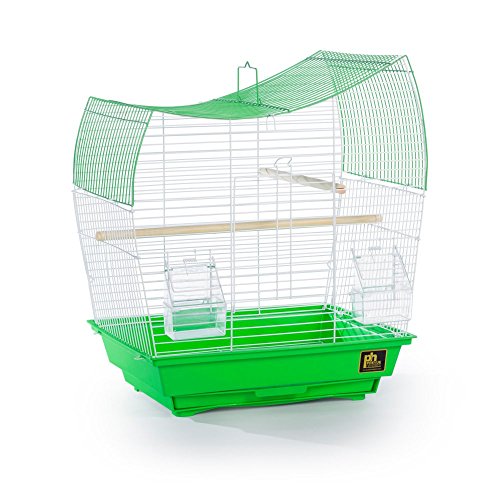 Prevue Pet Products South Beach SP50081 Vogelkäfig, gewellt, Limettengrün Prevue Pet Products South Beach SP50081 Vogelkäfig, gewellt, Limettengrün von PH Prevue Hendryx