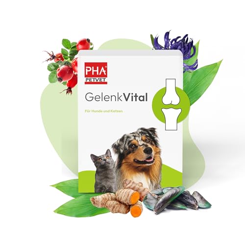PHA GelenkVital Pulver für Hunde & Katzen - Mit Weidenrinde, Grünlippmuschel, Glucosamin, MSM, Hyaluron, Kollagen, Teufelskralle, Hagebutte, 150 g von PHA PETVET