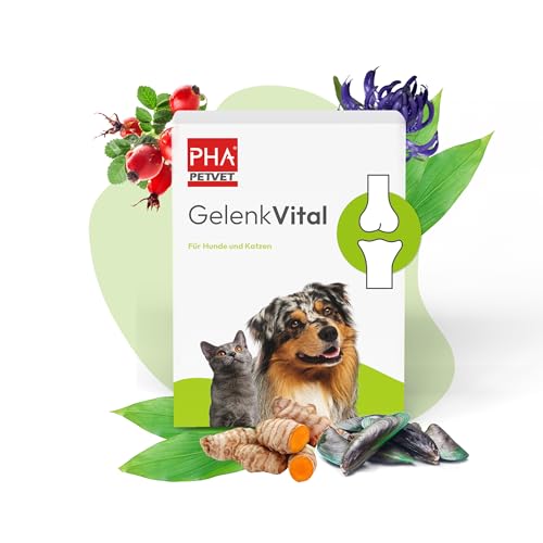 PHA Gelenk Vital, Gelenkschutz für Hund und Katze, Weidenrinde, Kurkuma, Grünlippmuschel, MSM, Glucosamin, Kollagen, Hyaluron, Teufelskralle, Hagebutte, Gelenkpulver 150 g von PHA PETVET