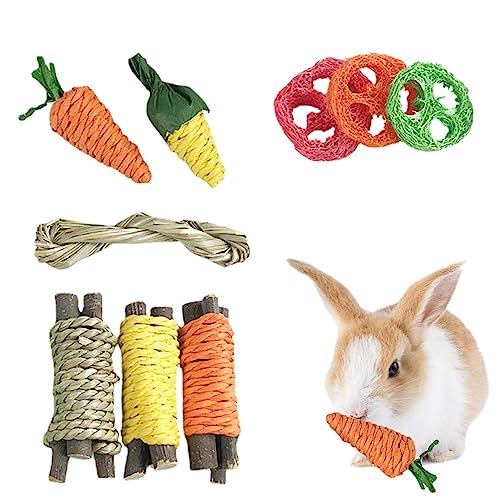 PHASZ Kaninchenspielzeug für Kaninchen, 9 Stück Zwerghamster Kauspielzeug, Haustierzahnspielzeug, Übungszubehör für Zwerghamster, Kauspielzeug mit Seil für Meerschweinchen und Kleintiere, 5 Stück von PHASZ