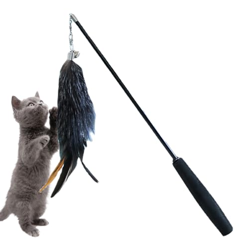 PHASZ Katzenstab-Spielzeug für Indoor-Katzen – Teaser Zauberstab, einziehbares interaktives Katzenspielzeug mit Glocke – Kätzchen Teaser Zauberstab, Katzenfederspielzeug, lustiges elastisches von PHASZ