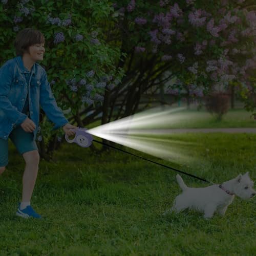 PHASZ Spaziergang mit Taschenlampe | Nachtbeleuchtung und umweltfreundlich für Hunde – Outdoor-Hundebedarf für Reisen, Spaziergänge, Camping, Ausflüge, Festival-Paraden von PHASZ