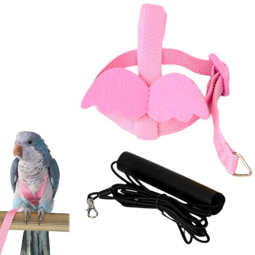 PHCOZY 1 Pcs Haustier Geschirr und Leine verstellbar für Papageien Flugzeug Anti Biss Trainingsseil Vogel Nylonseil verstellbares Vogelgeschirr und Leine für den Außenbereich von PHCOZY