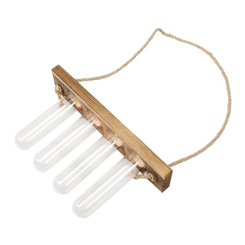 PHENOFICE 1 Set Hydrokulturvase, Luftpflanzen, Lebende Zimmerpflanzen Mit Halter, Pflanzenterrarium, Glasknospenvasen, Anzuchtstationen, Hydrokultur Pflanzgefäßvase Aus Glas, von PHENOFICE