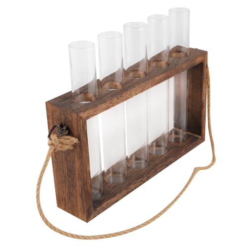 PHENOFICE 1 Set Hydrokulturvase, Pflanzenterrarium Mit Holzständer, Terrariumpflanzen, Wasservase, Hydrokultur Pflanzgefäß Aus Glas, Glasvasen Für Tafelaufsätze, Luftpflanzenhalter, Vase, von PHENOFICE