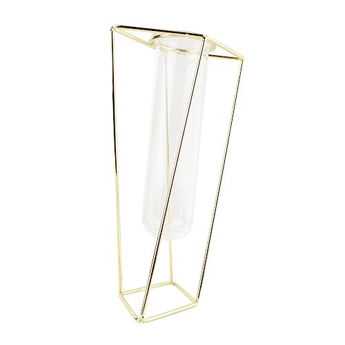 PHENOFICE 1stk Pflanzgefäß Mit Metallrahmen Klare Tischvase Blumenpflanzer Luftpflanzenrohr Pflanzenterrarium Moderner Geometrischer Pflanzer Anlage Wasserblumenvase Klarer Behälter Golden PHENOFICE 1stk Pflanzgefäß Mit Metallrahmen Klare Tischvase Blumenpflanzer Luftpflanzenrohr Pflanzenterrarium Moderner Geometrischer Pflanzer Anlage Wasserblumenvase Klarer Behälter Golden von PHENOFICE