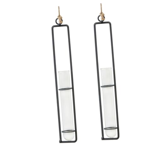 PHENOFICE 2 Stück Vasen Lametta Girlande Hydrokultur Pflanzenvase Wandbehang Reagenzglas Pflanzgefäß Klare Vasen Pflanzen Wandaufhänger Wand Pflanzgefäße Töpfe Für Pflanzen Klare PHENOFICE 2 Stück Vasen Lametta Girlande Hydrokultur Pflanzenvase Wandbehang Reagenzglas Pflanzgefäß Klare Vasen Pflanzen Wandaufhänger Wand Pflanzgefäße Töpfe Für Pflanzen Klare von PHENOFICE