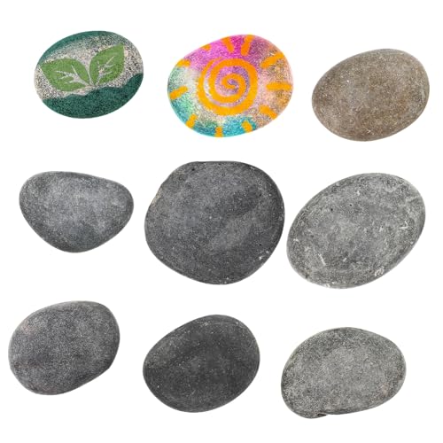 PHENOFICE 9Stücke Flache Bastelsteine Malsteine für Garten Natürliche Flusssteine für DIY Projekte Kreative und Dekoration von PHENOFICE