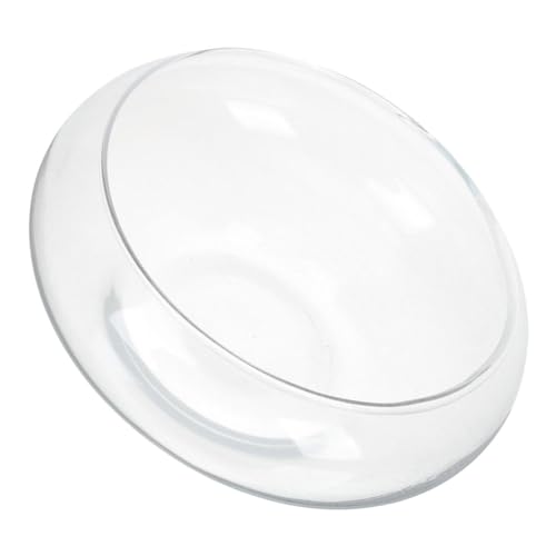 PHENOFICE Glas-Pflanztopf für Sukkulenten klein und dekorativ für Büro Zuhause Balkon Luftpflanzen-Terrarium PHENOFICE Glas-Pflanztopf für Sukkulenten klein und dekorativ für Büro Zuhause Balkon Luftpflanzen-Terrarium von PHENOFICE