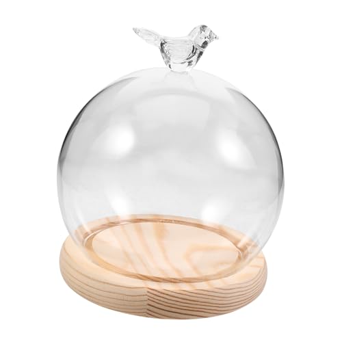 PHENOFICE Glas Staubschutzglocke, Glas ... PHENOFICE Glas Staubschutzglocke, Glas ... von PHENOFICE