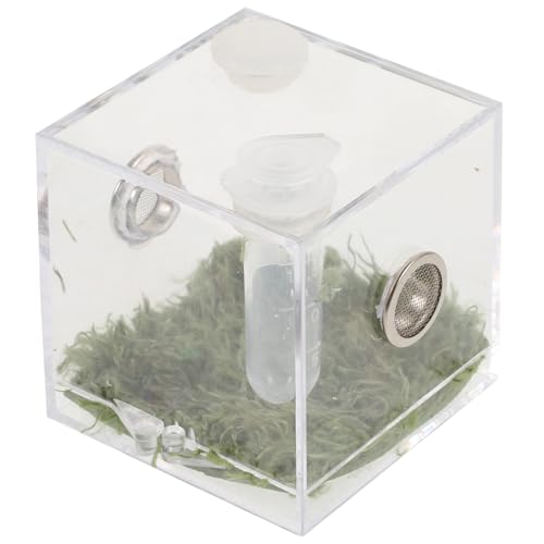 PHENOFICE Insekten Terrarium Futterbox für Springspinne Mittelgroß mit Klarem Sichtfenster Geeignet für Kleine Reptilien und Insekten Wie Grillen Schnecken Gottesanbeterin Professionelles von PHENOFICE