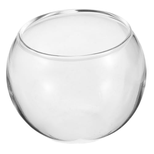 PHENOFICE Klarer Glasfischtank Mini Glasbowl Für Zubehör Für Kreative Terrarien Arrangements Oder Kleine Aquarien Transparentes Design Für Ansprechende Dekoration PHENOFICE Klarer Glasfischtank Mini Glasbowl Für Zubehör Für Kreative Terrarien Arrangements Oder Kleine Aquarien Transparentes Design Für Ansprechende Dekoration von PHENOFICE