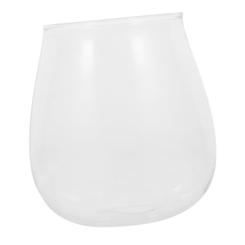 PHENOFICE Mikro Landschaftspflanzen, Tischschmuck, Glasflasche, Mikro Landschaftsbehälter, Mikro Landschaftspflanzer, Flasche, Terrarium, Glasbehälter, Landschaftsflasche, Terrariumglas von PHENOFICE