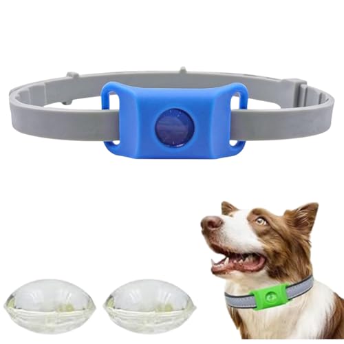 Hundemarken, natürliche Hundehalsbänder, superelastisch, größenverstellbar, geeignet für kleine, mittelgroße und große Hunde Hundemarken, natürliche Hundehalsbänder, superelastisch, größenverstellbar, geeignet für kleine, mittelgroße und große Hunde von PHFDQKG