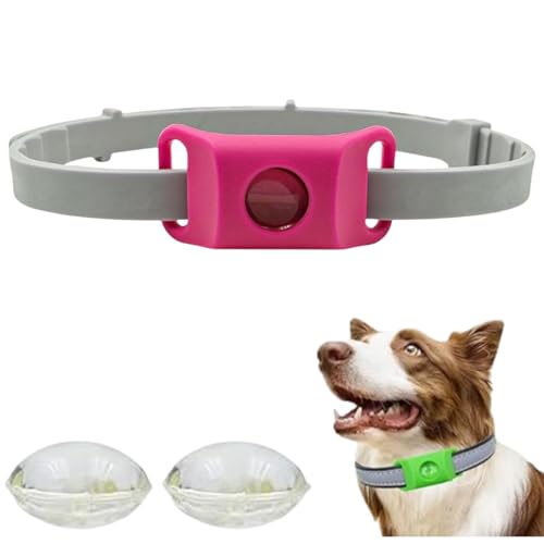 Hundemarken, natürliche Hundehalsbänder, superelastisch, größenverstellbar, geeignet für kleine, mittelgroße und große Hunde Hundemarken, natürliche Hundehalsbänder, superelastisch, größenverstellbar, geeignet für kleine, mittelgroße und große Hunde von PHFDQKG