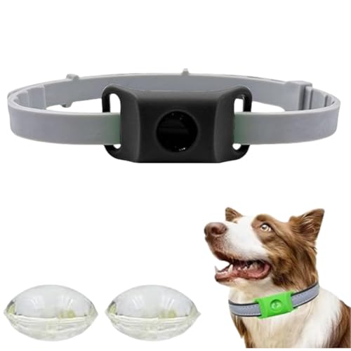 Hundemarken, natürliche Hundehalsbänder, superelastisch, größenverstellbar, geeignet für kleine, mittelgroße und große Hunde Hundemarken, natürliche Hundehalsbänder, superelastisch, größenverstellbar, geeignet für kleine, mittelgroße und große Hunde von PHFDQKG