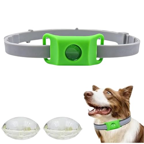 Hundemarken, natürliche Hundehalsbänder, superelastisch, größenverstellbar, geeignet für kleine, mittelgroße und große Hunde Hundemarken, natürliche Hundehalsbänder, superelastisch, größenverstellbar, geeignet für kleine, mittelgroße und große Hunde von PHFDQKG